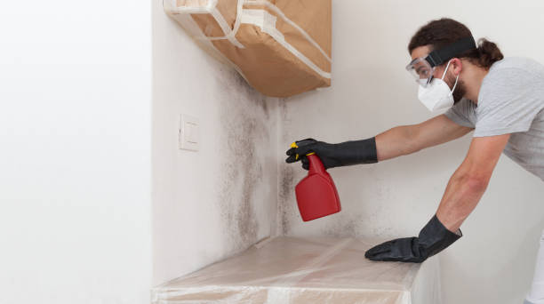 Professional Crawl Space Mold Removal technician working in Trenton, GA