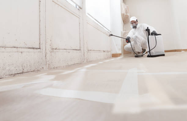 24/7 Emergency Crawl Space Mold Removal experts in Trenton, GA
