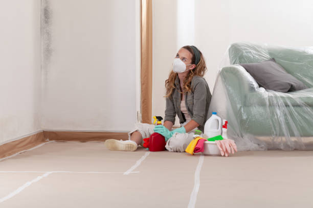 Trusted Basement Mold Remediation service in Trenton, GA - Cheap Mold Removal